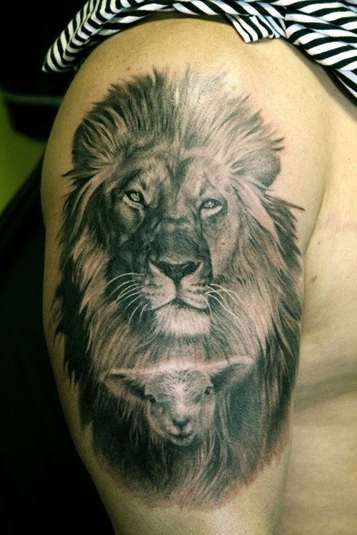 Lion And Little Lamb Tattoo