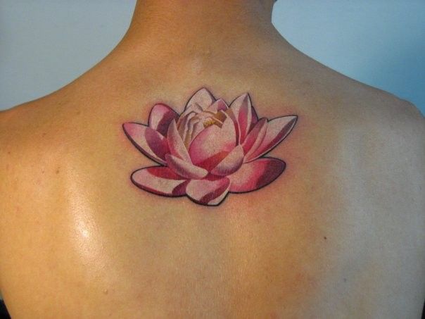 Nice Pink Lotus Tattoo On back Shoulder