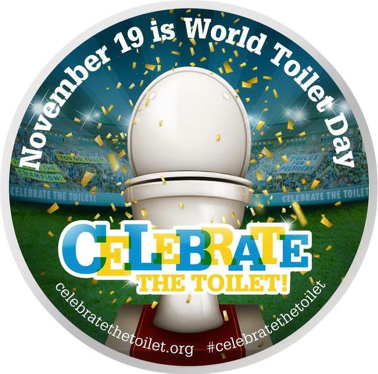 November 19 Is World Toilet Day Celebrate The Toilet