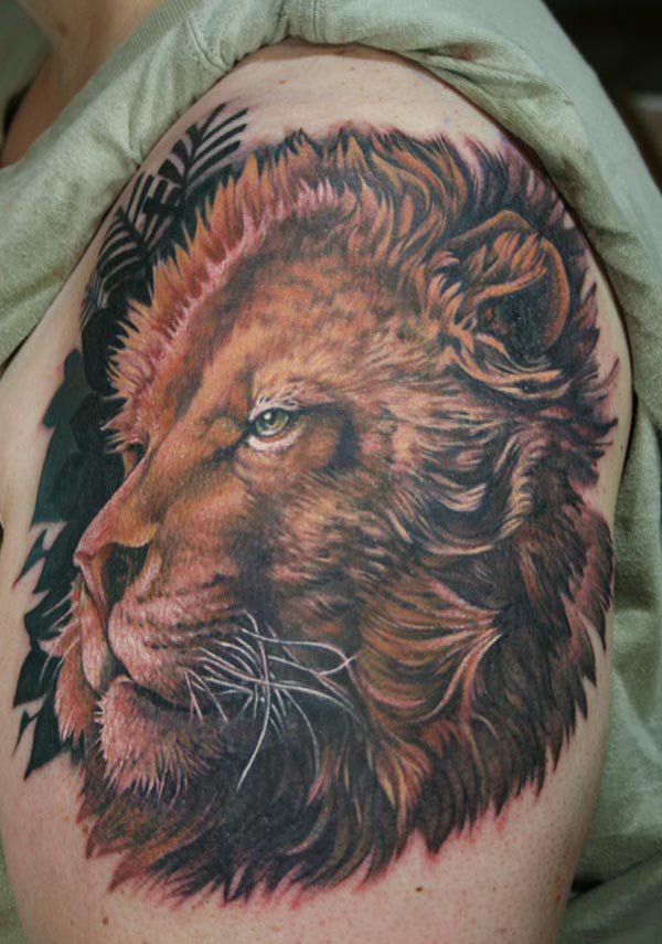 Realistic colorful Lion Tattoo On Bicep