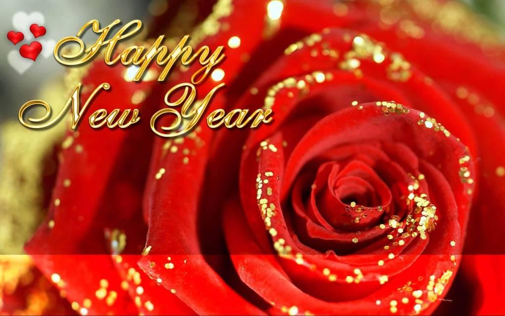 Red Rose Happy New Year background picture