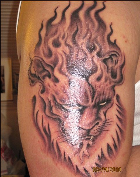 Sea Lion Tattoo Design