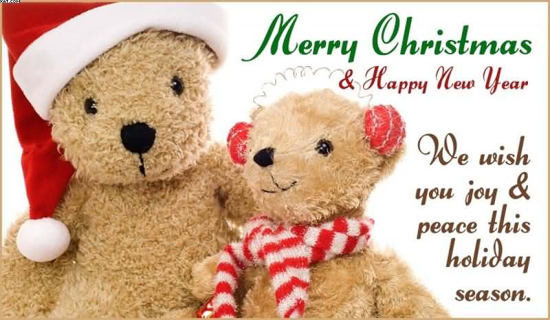 We wish you joy and peace this holiday season Merry Christmas teddy picture