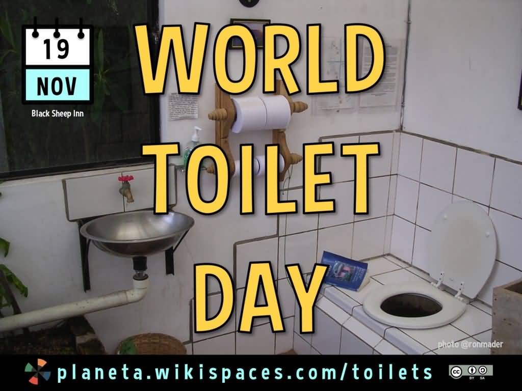 World Toilet Day 19 November Picture