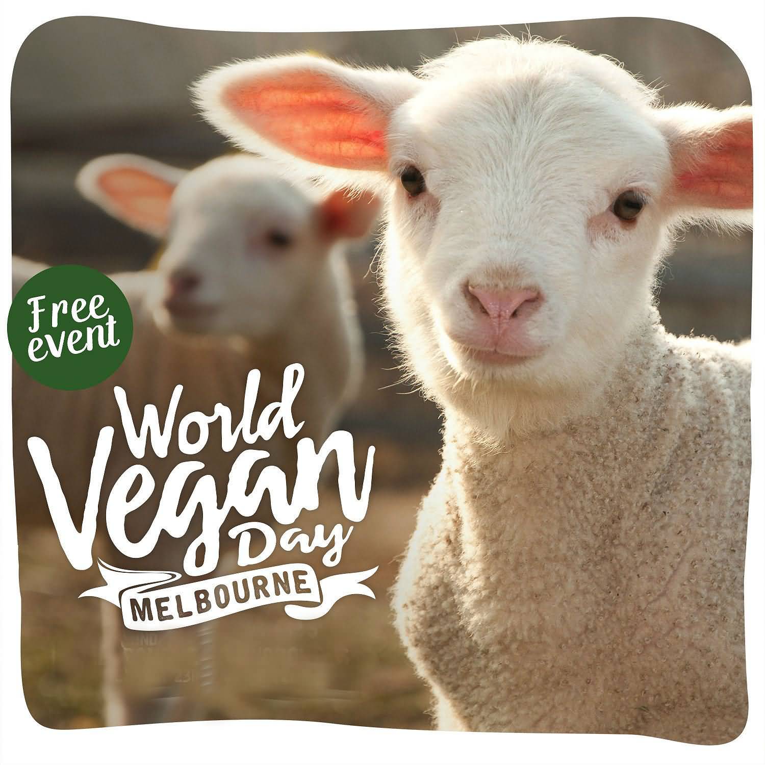 World Vegan Day Melbourne Lamb picture