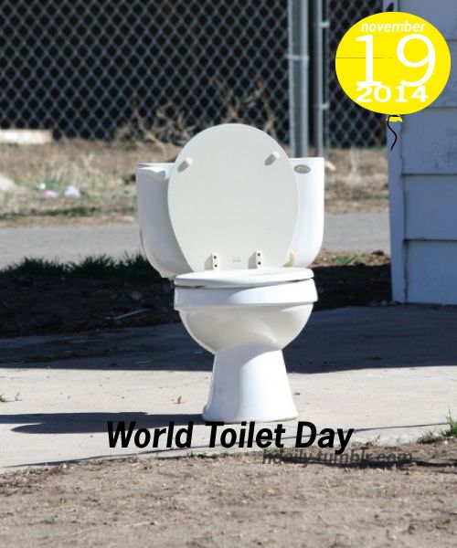 World toilet Day Toilet Picture
