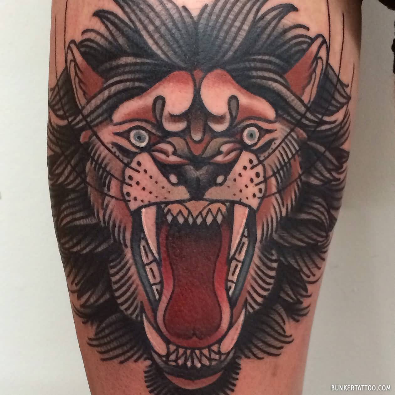 traditional Angry Lion Tattoo Design