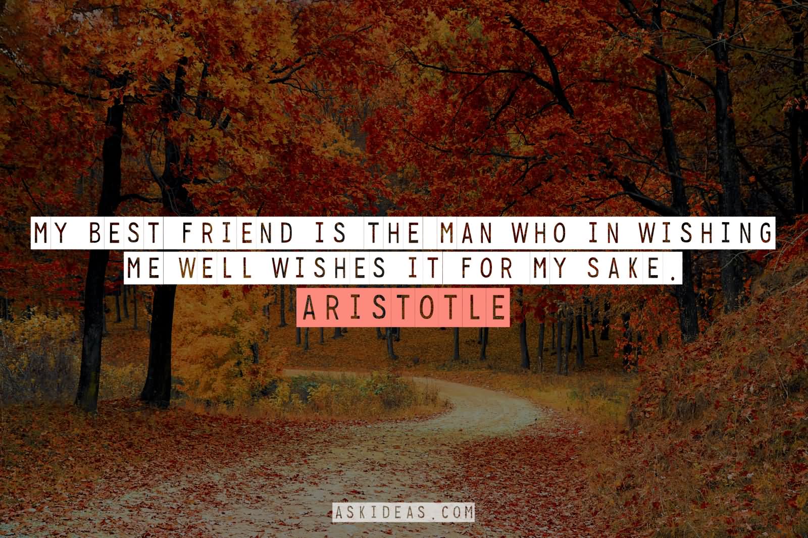 My best friend is the man who in wishing me well wishes it for my sake. Aristotle