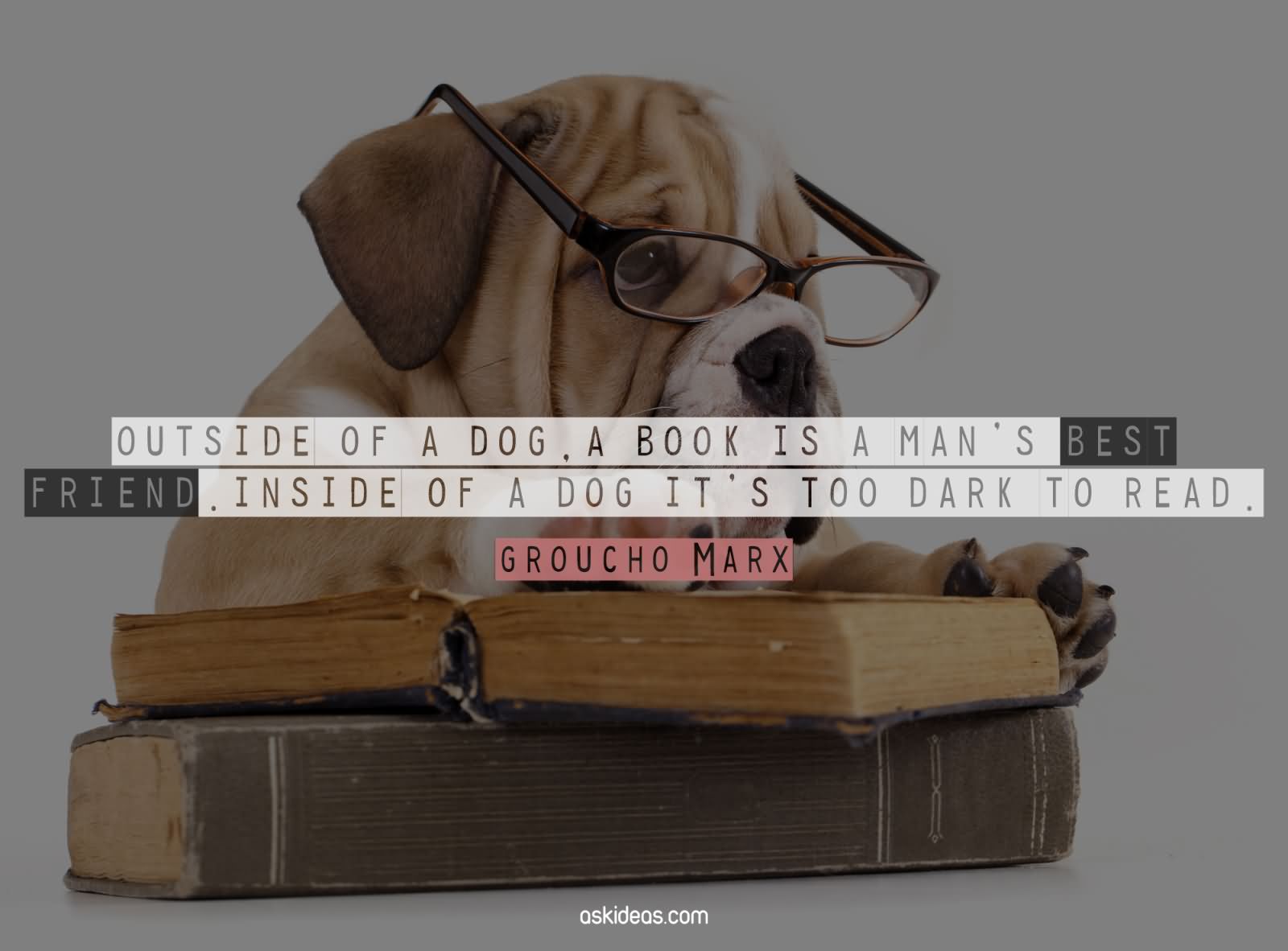Outside of a dog, a book is a man’s best friend