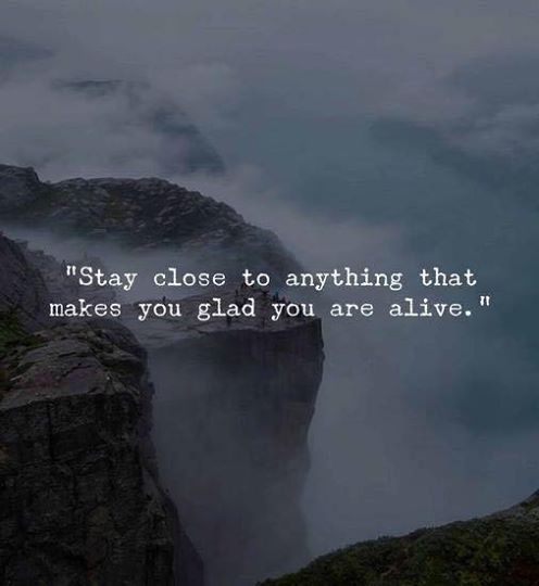 Stay close to anything that makes you glad you are alive.