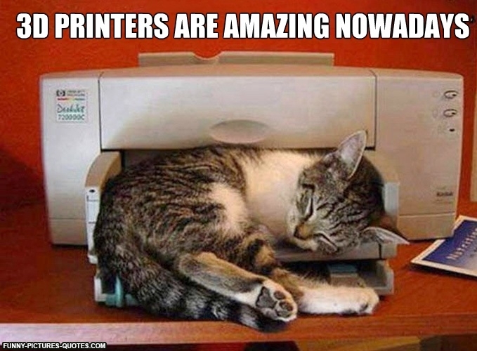 3D Printers Are Amazing Nowadays Cat With Printer Funny Technology