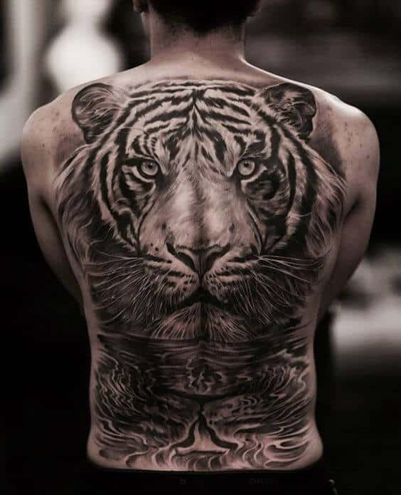 Amazing Grey Ink Realistic Tiger Tattoo On Full Back For Men