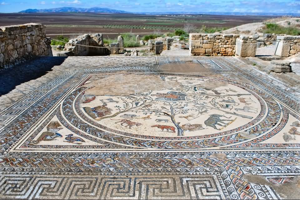 Amazing Mosaic Artwork on the floor of Volubilis