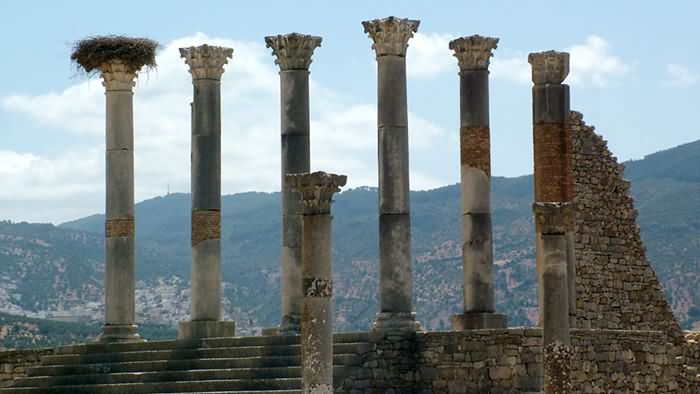 Ancient Roman Columns Of The Volubilis