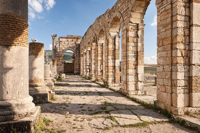 Another View OF The Volubilis