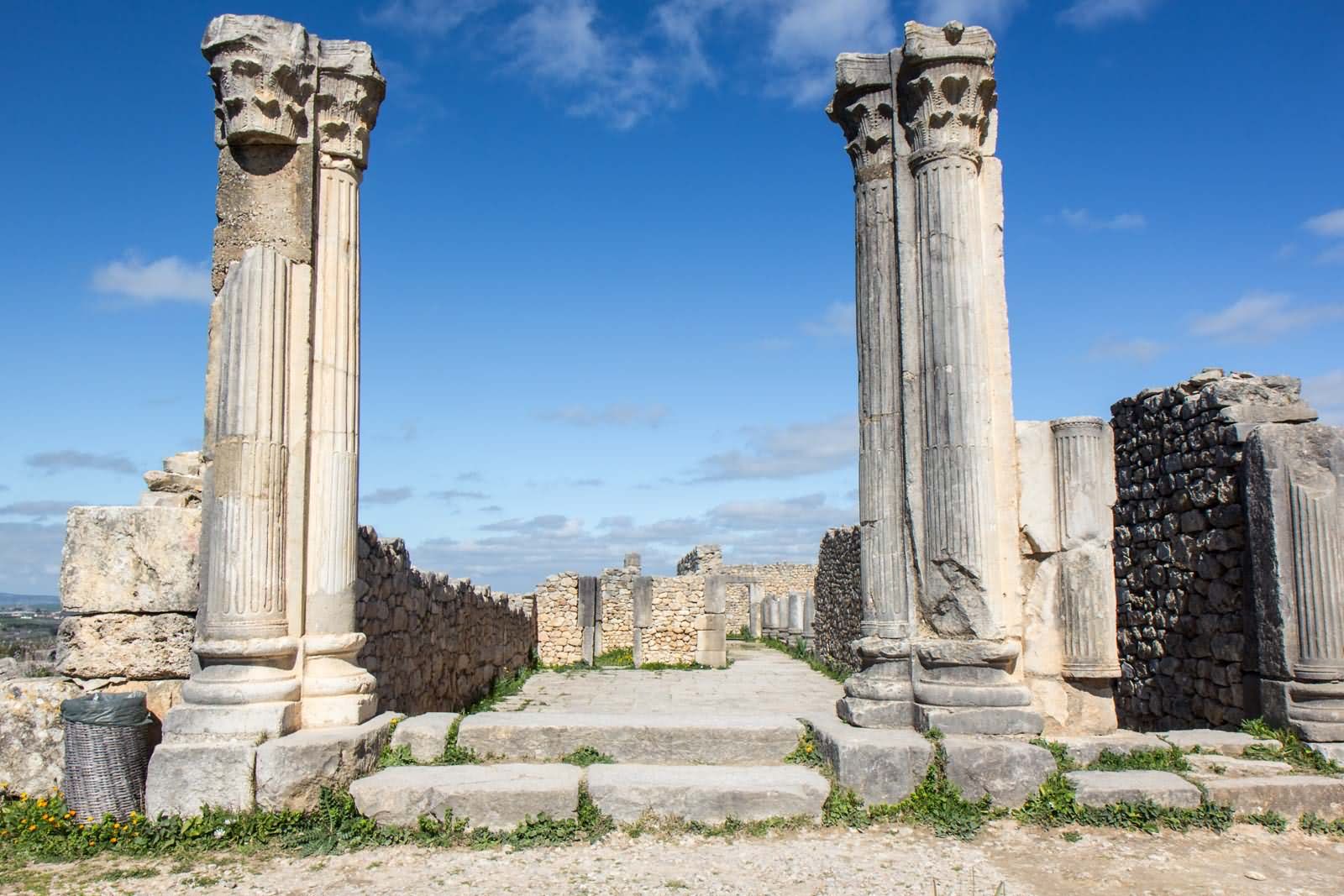 Archaeological Columns Of the Volubilis In Morocco