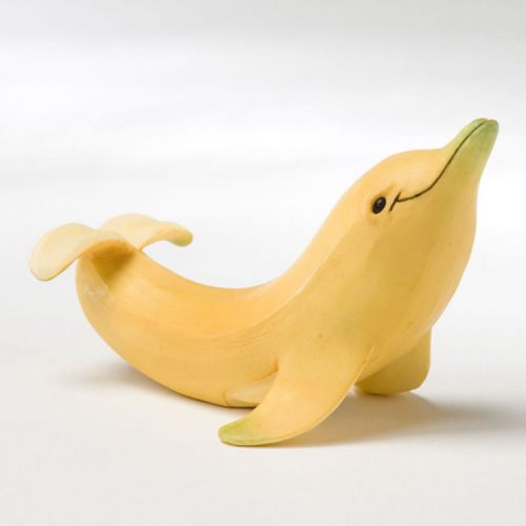 Banana Dolphin Funny Food Picture
