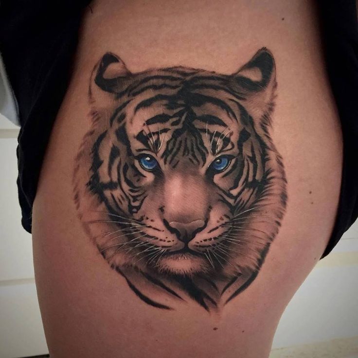 Beautiful Blue Eyed Grey Tiger Face Tattoo On Side Thigh Done By Janice at Chronic Ink Tattoo, Toronto