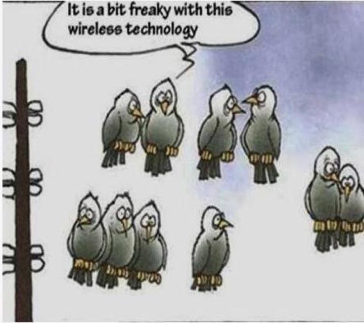 Birds Sitting on Wireless Technology Funny Picture