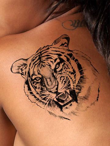 Black Ink Fierce Tiger Tattoo On Back Shoulder