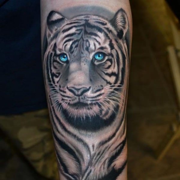 Blue Eyed Realistic Tiger Tattoo On Forearm For Men