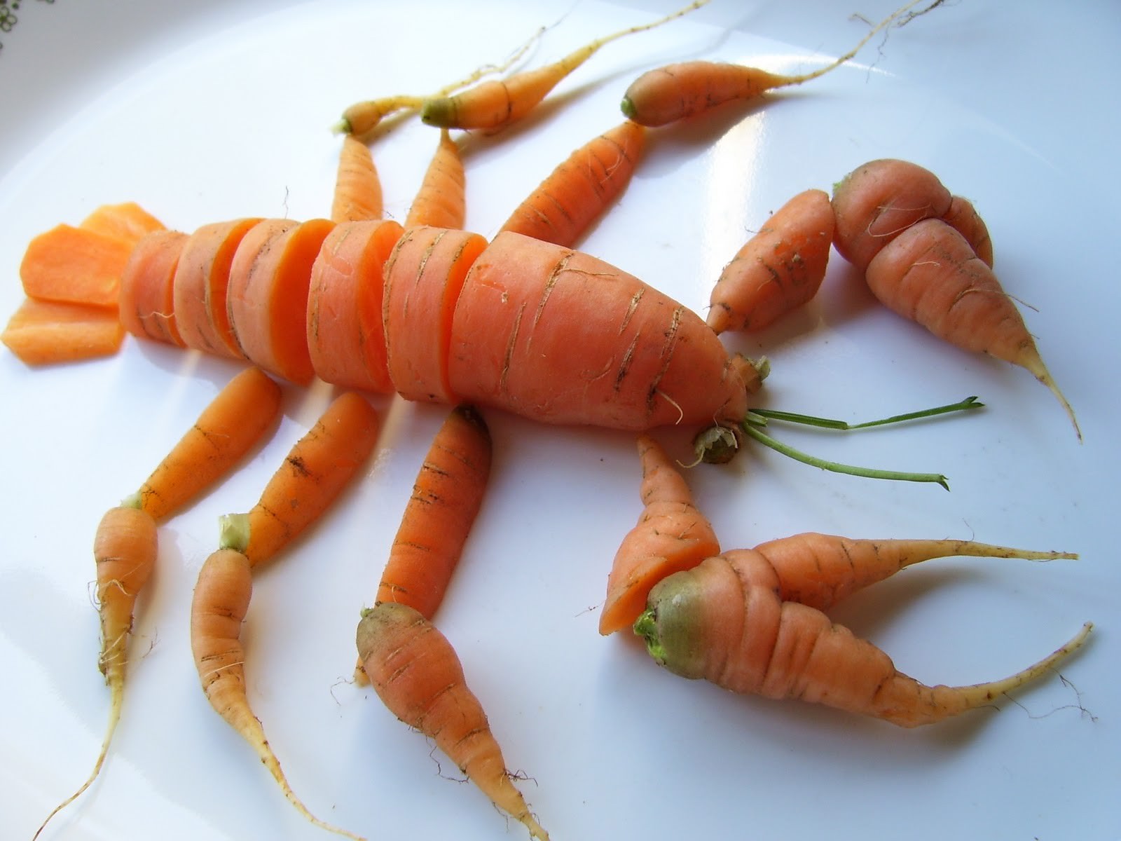 Carrots Lobster Funny Food Picture