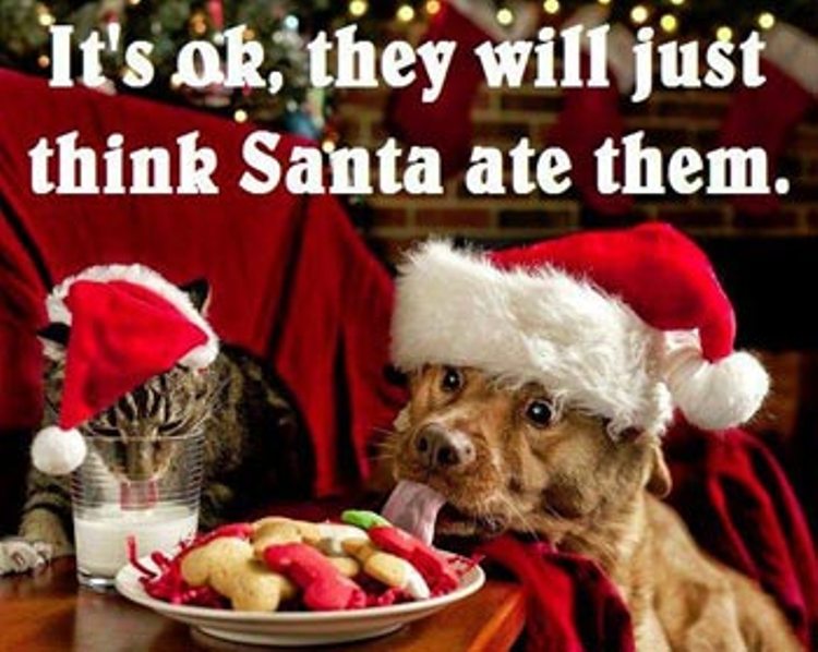 Cat And Dog Ate Food Before Santa Funny Christmas