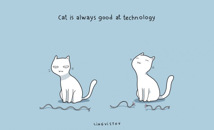 Cat Is Always Good At Technology Funny Picture