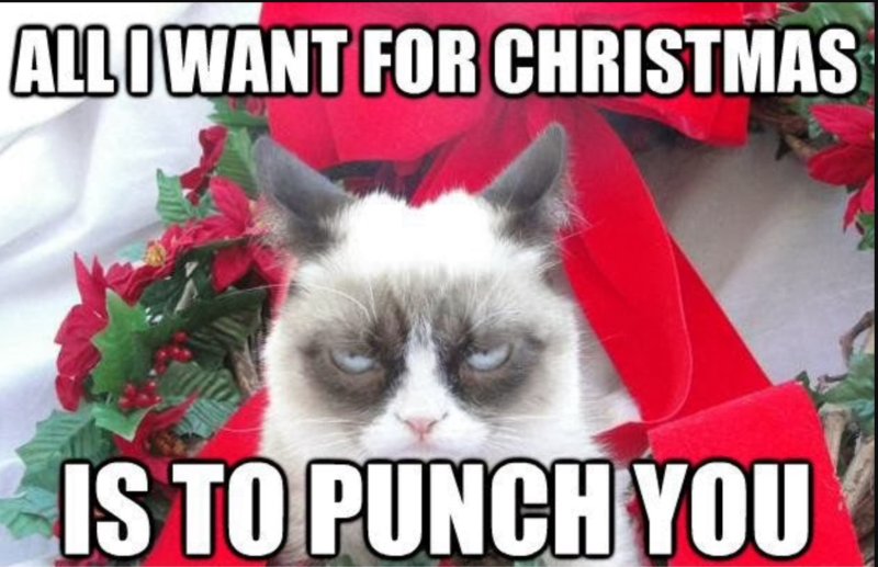 Cat Want To Punch You On Christmas Funny Meme