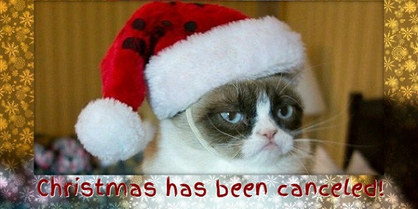 Christmas Has Been Canceled Angry Cat Face Picture