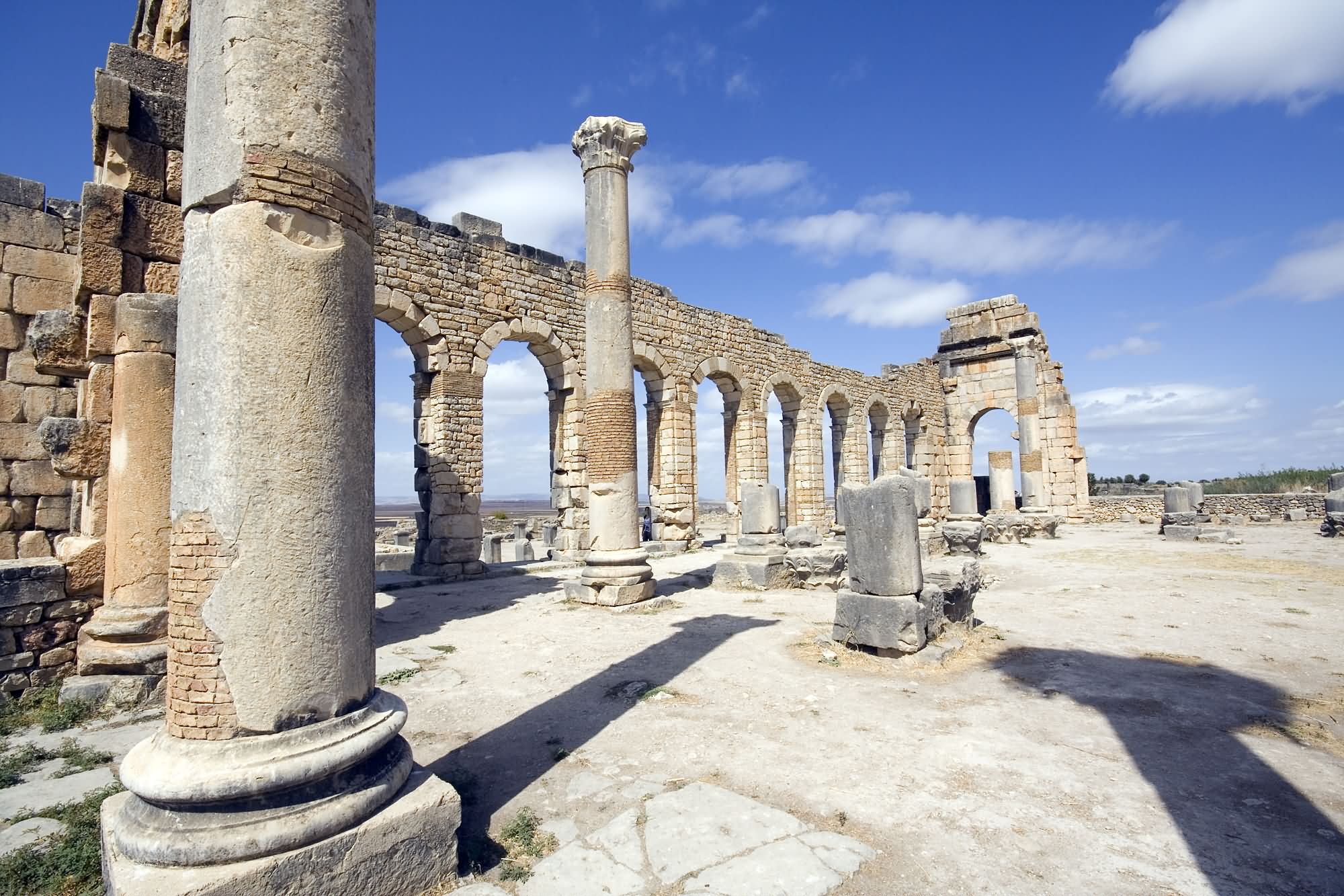 Closeup Of Columns Of the Volubilis In Morocco