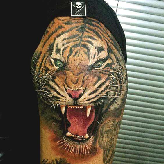 Colorful Realistic Roaring Tiger Tattoo On Shoulder For Men