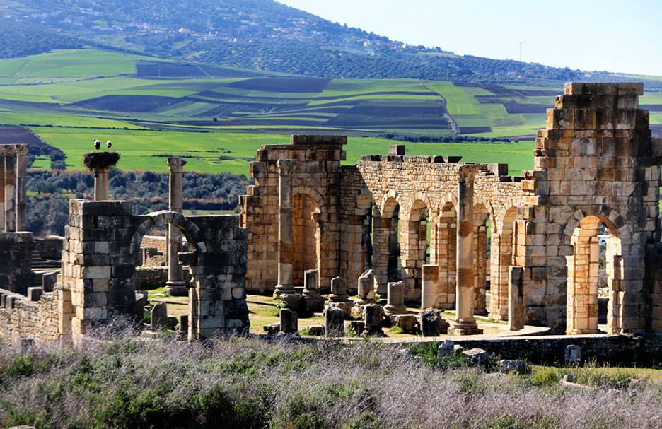 Columns And Ruin Of The Volubilis
