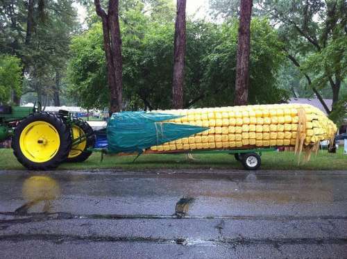 Corn Shaped Funny Car
