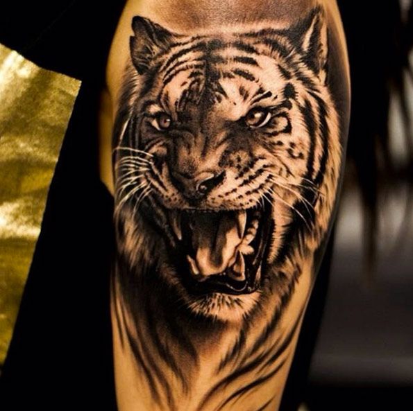 Dark Grey Realistic Tiger Tattoo On Half Sleeve