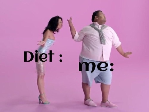 Diet Vs Fat Man Funny Picture