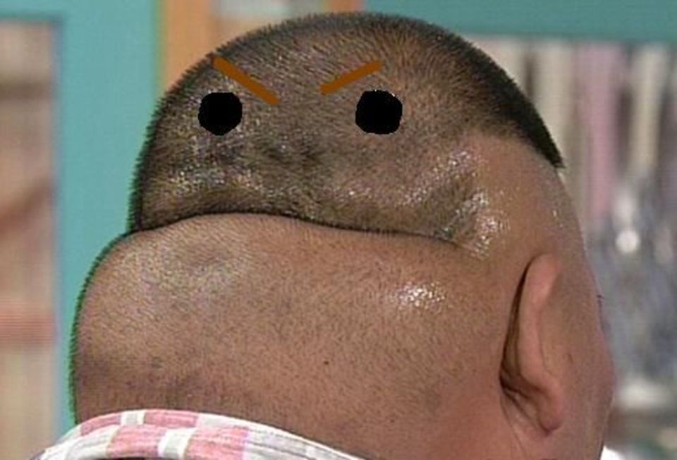 Funny Fat Man Head