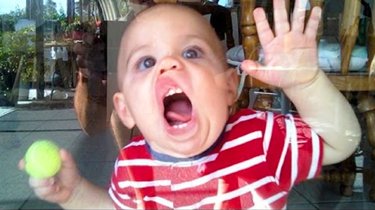 Funny Kid Licking Glass