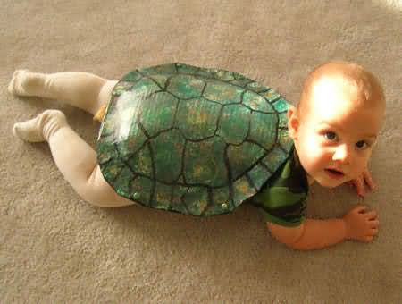 Funny Kid Wearing Tortoise Costume