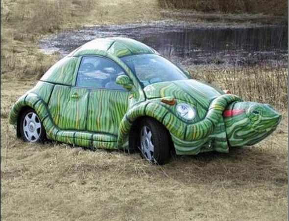 Funny Tortoise Car