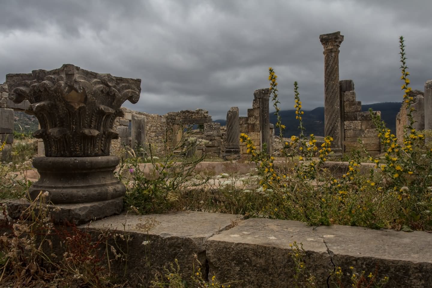 Gardens At the Ruins Of Volubilis