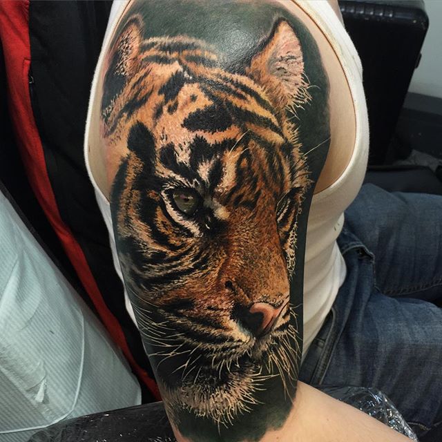 Giant Realistic Tiger Head Tattoo on Shoulder Cap & Half Sleeve