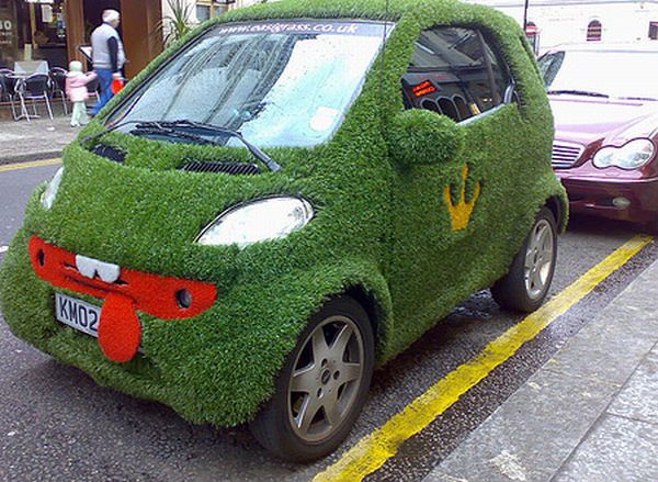 Green Grass Funny moss Car