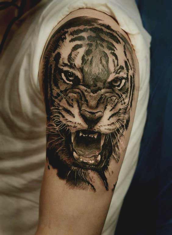 Grey Realistic Tiger Tattoo On Shoulder For Men