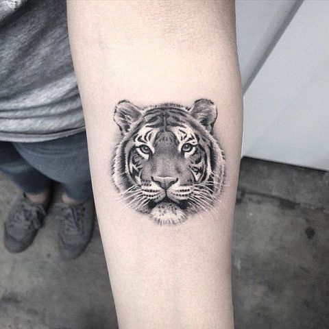 Grey ink Small Cute Tiger Head Tattoo On Forearm