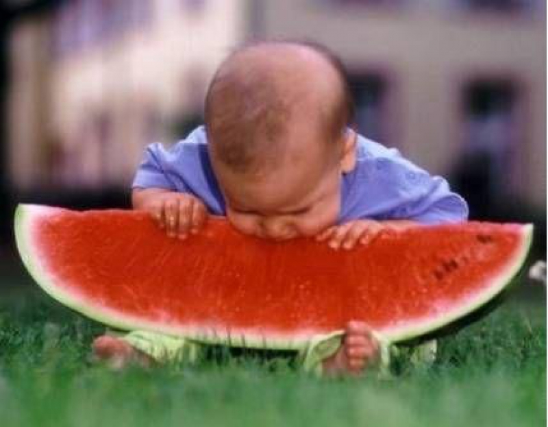 Kid Eating Watermelon Funny Picture
