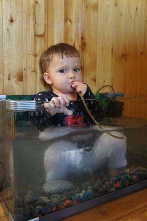 Kid Sitting In Fish Tank Funny Picture