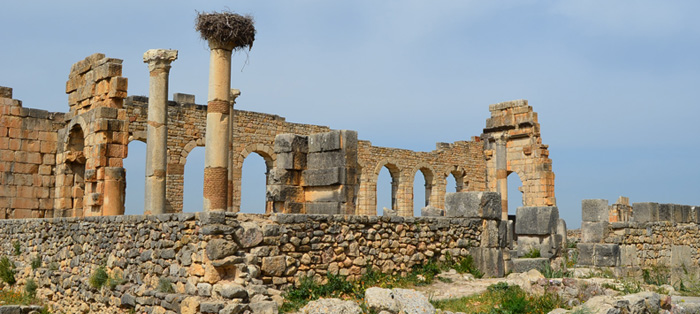 Meknes ANd The Roman Ruins Of Volubilis
