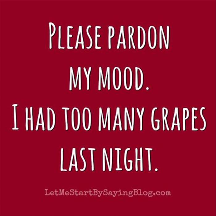 Please Pardon My Mood. I Had Too Many Grapes Last Night Funny Alcohol