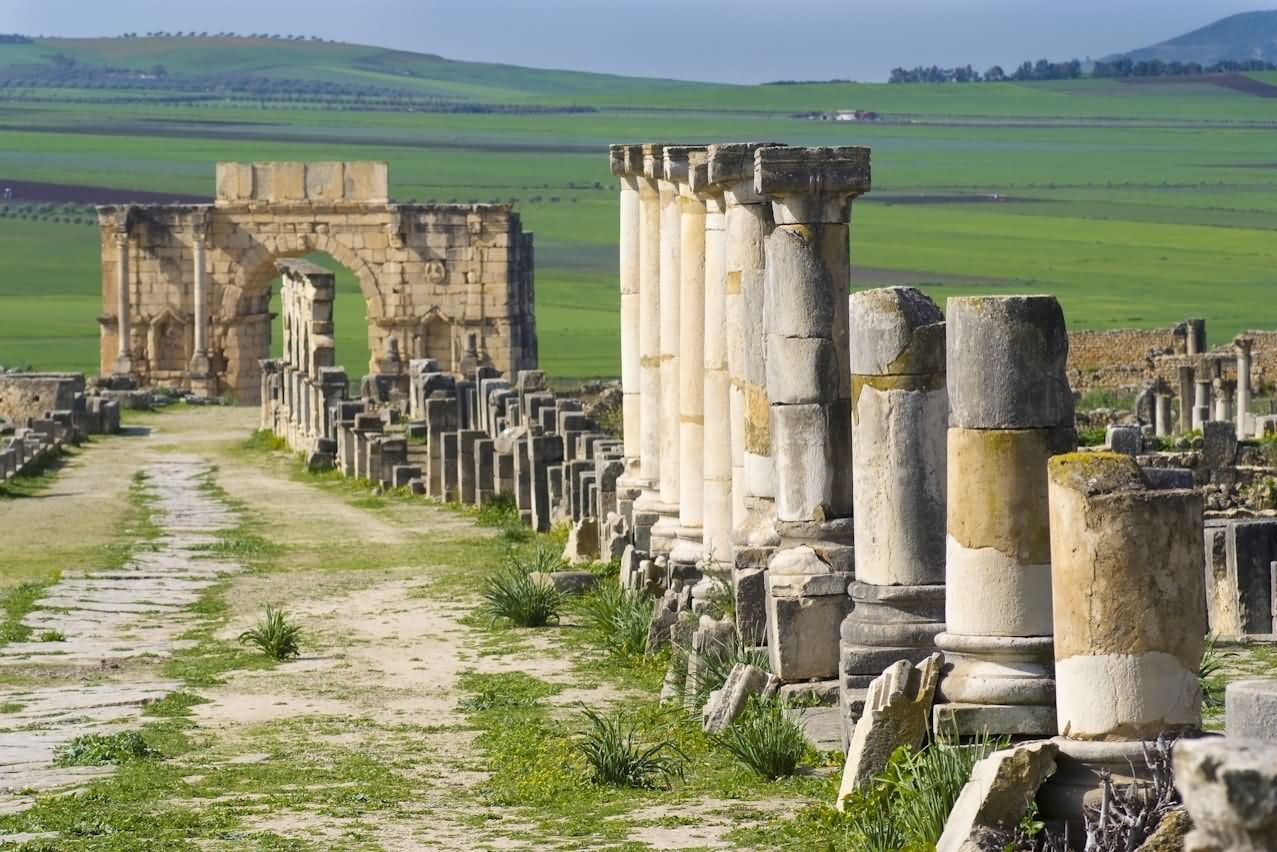 Ruins Of The Volubilis In morocco